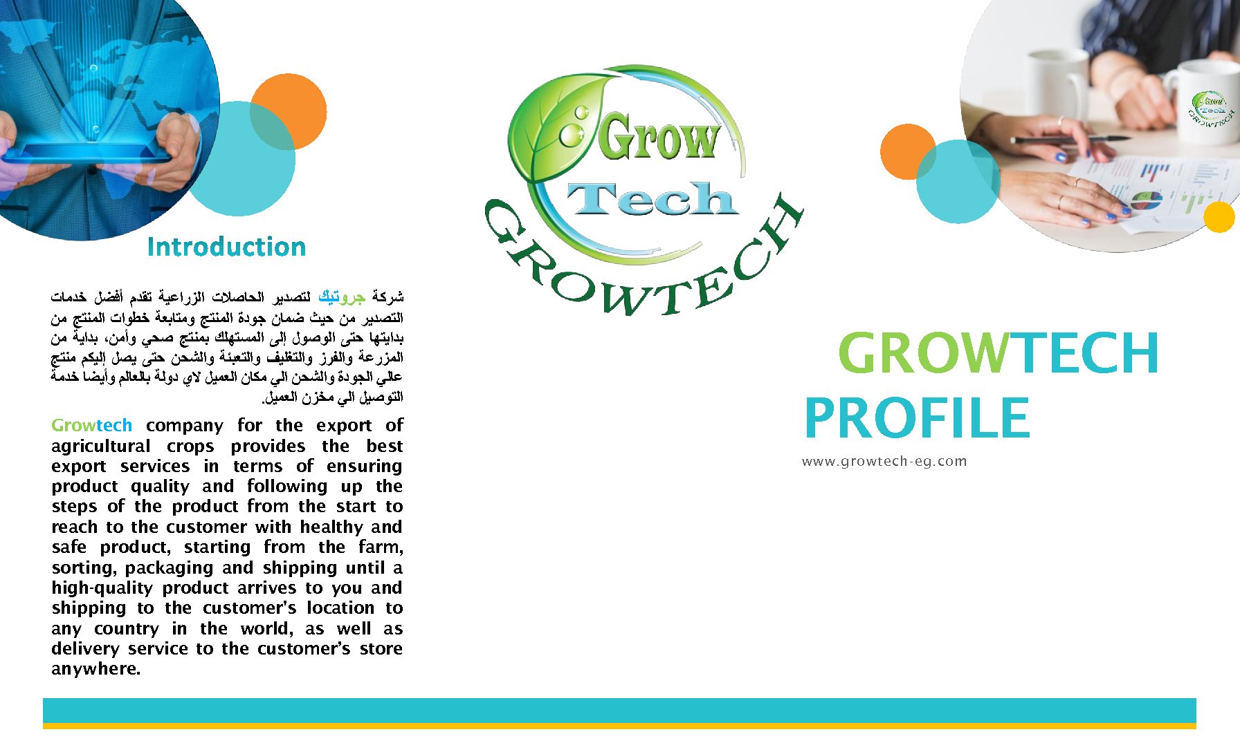 GROWTECH PROFILE 1 pdf