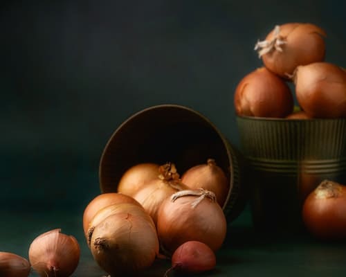 Vidalia Onions (2)