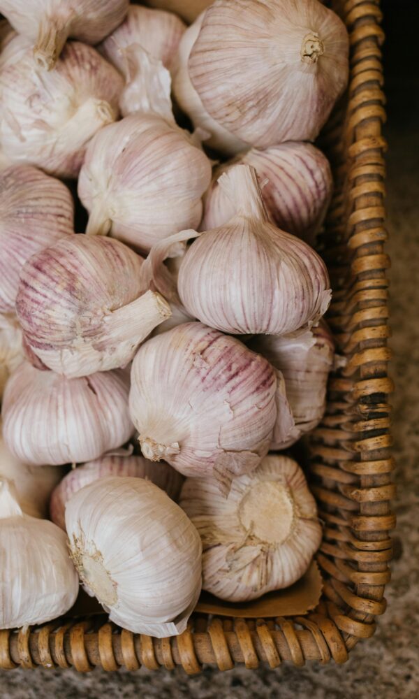 Red Garlic